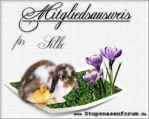 http://www.Stupsnasenforum.de http://www.Stupsnasenforum.de