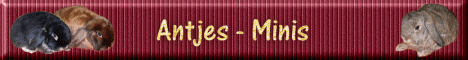 antjesminisbanner1 antjesminisbanner1