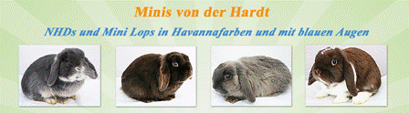 banner-minis-von-der-hardt-