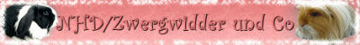 bannerfertig_2 bannerfertig_2
