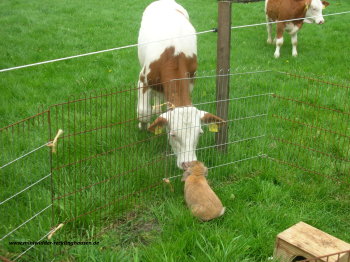 Hey, wer bist du denn??